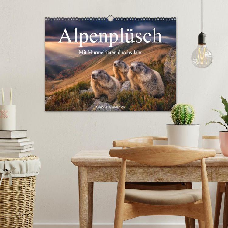 Produktbild: Alpenpl&uuml;sch - Mit Murmeltieren durchs Jahr (Wandkalender 2026 DIN A3 quer), CALVENDO Monatskalender