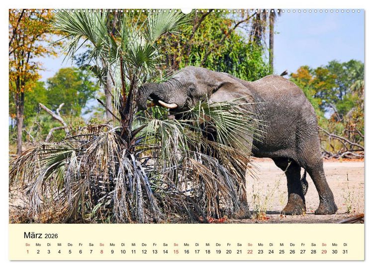 Produktbild: Traumhaftes Malawi (Wandkalender 2026 DIN A2 quer), CALVENDO Monatskalender