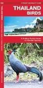 Produktbild: Thailand Birds