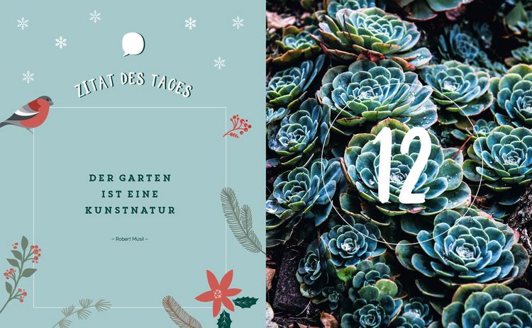 Produktbild: Mein Adventskalender-Buch: Gartenliebe