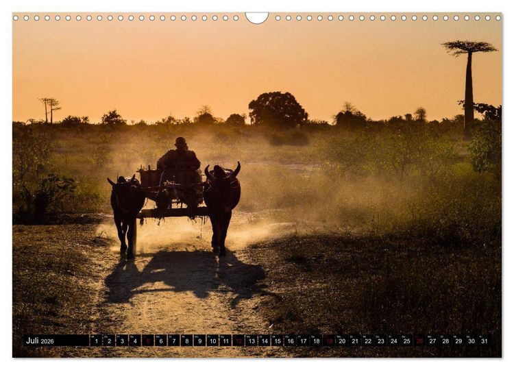 Produktbild: Madagaskar - Impressionen von Rolf Dietz (Wandkalender 2026 DIN A3 quer), CALVENDO Monatskalender
