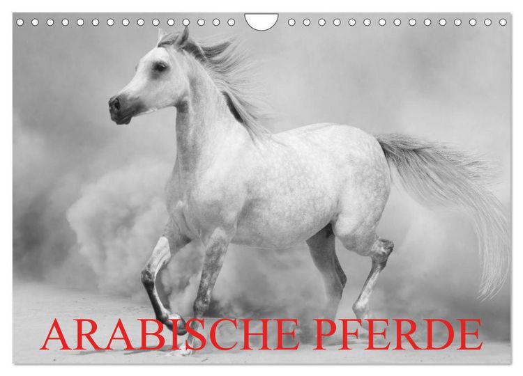 Produktbild: Arabische Pferde (Wandkalender 2026 DIN A4 quer), CALVENDO Monatskalender