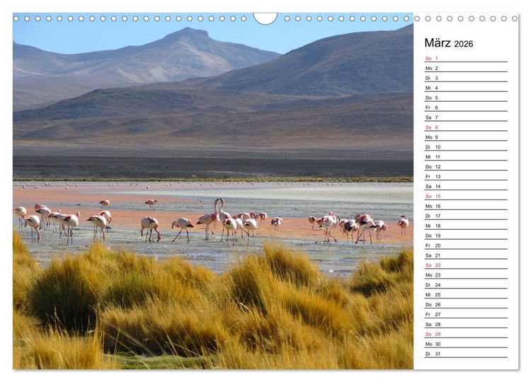 Produktbild: Mein Flamingo Planer (Wandkalender 2026 DIN A3 quer), CALVENDO Monatskalender