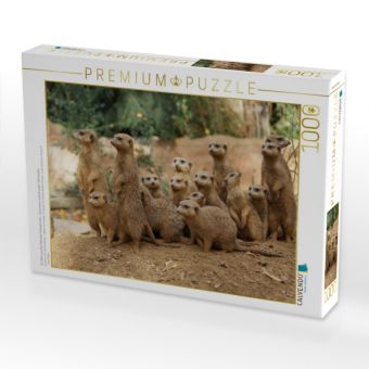 Produktbild: CALVENDO Puzzle Ein Motiv aus dem Kalender Erdm&auml;nnchen - Zusammen sind wir stark / CH-Version | 1000 Teile Lege-Gr&ouml;&szlig;e 64x48cm Foto-Puzzle f&uuml;r gl&uuml;ckliche Stunden