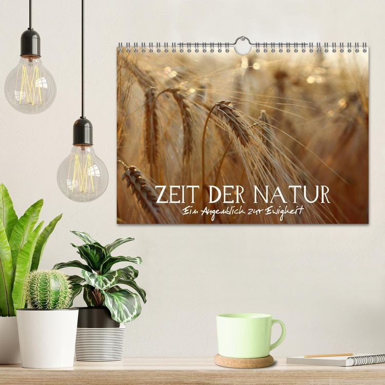Produktbild: Zeit der Natur - Ein Augenblick zur Ewigkeit (Wandkalender 2026 DIN A4 quer), CALVENDO Monatskalender