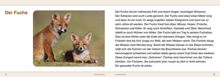 Produktbild: Ich kenne Waldtiere / Haus- und Hoftiere / Insekten und Spinnen - 3 Arbeitshefte im Set f&uuml;r die 2. bis 4. Klasse