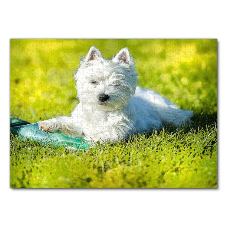 Produktbild: Lais Puzzle West Highland White Terrier 1000 Teile