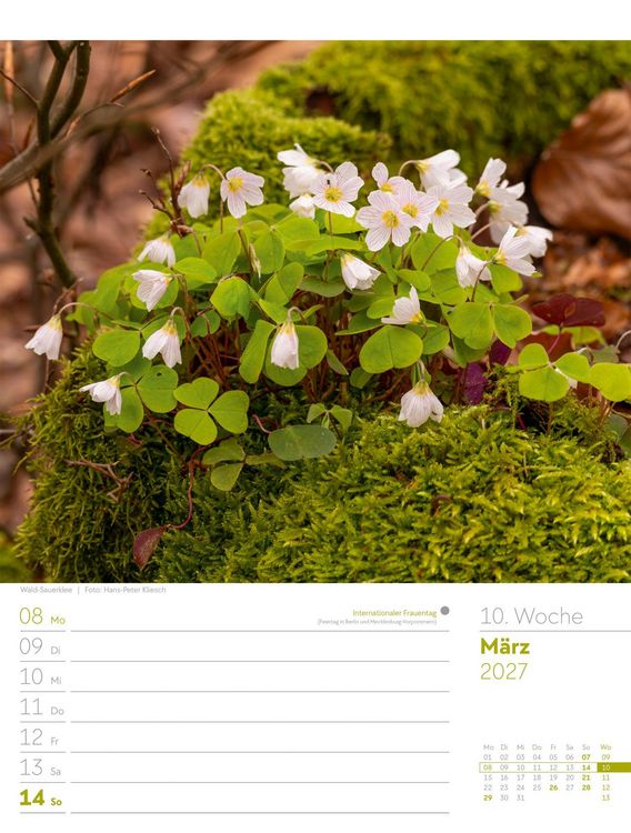 Produktbild: Unser Wald Wochenplaner Kalender 2027