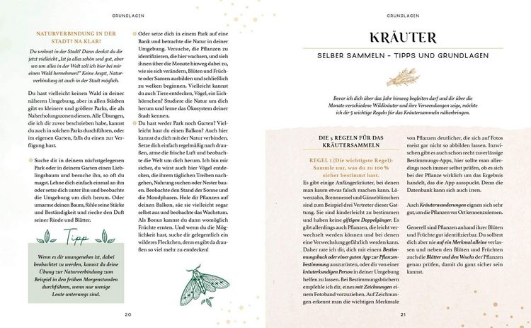 Produktbild: Zaubernuss und Waldmagie &ndash; Naturmomente f&uuml;r deine Seele