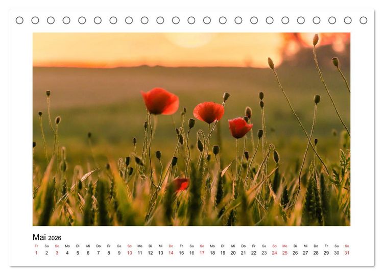 Produktbild: Eindr&uuml;cke aus der Natur (Tischkalender 2026 DIN A5 quer), CALVENDO Monatskalender