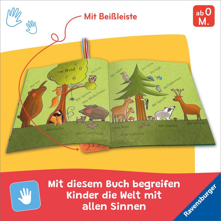 Produktbild: Mein Knuddel-Knautsch-Buch: flip&pop. Meine Tiere