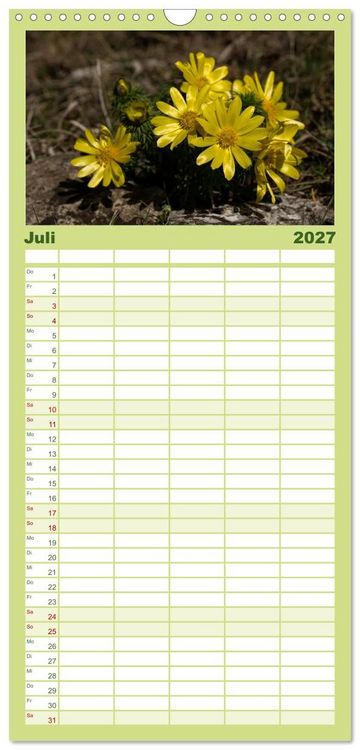 Produktbild: Familienplaner 2027 - Fr&uuml;hlingsbl&uuml;her - Farbenpracht nach dem Winter mit 5 Spalten (Wandkalender, 21 x 45 cm) CALVENDO