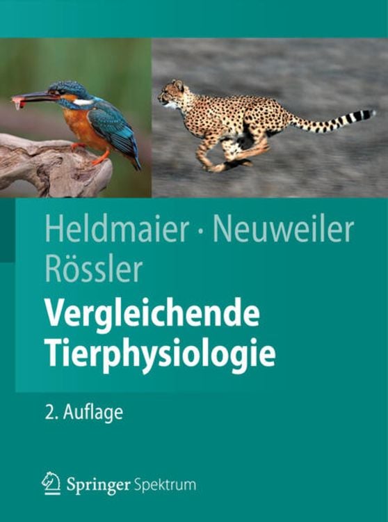 Produktbild: Vergleichende Tierphysiologie