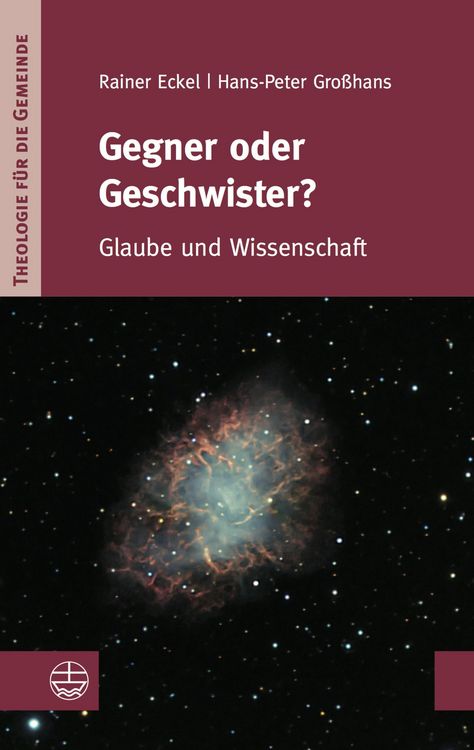 Produktbild: Gegner oder Geschwister?