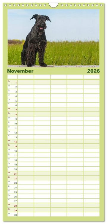 Produktbild: Familienplaner 2026 - Treuer Freund Riesenschnauzer mit 5 Spalten (Wandkalender, 21 x 45 cm) CALVENDO