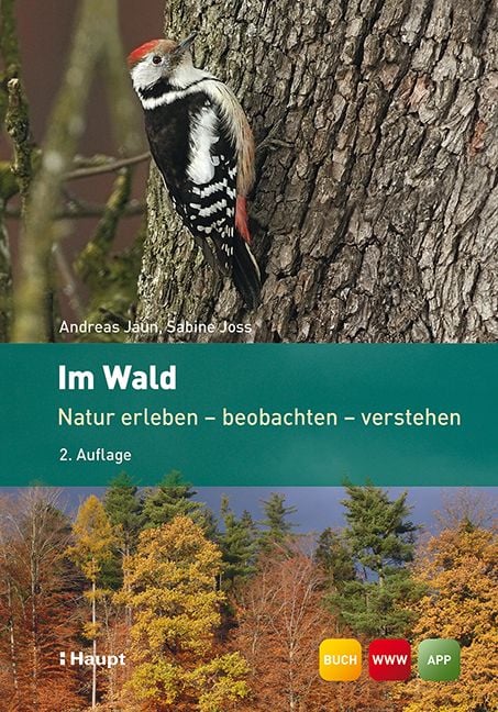 Produktbild: Im Wald