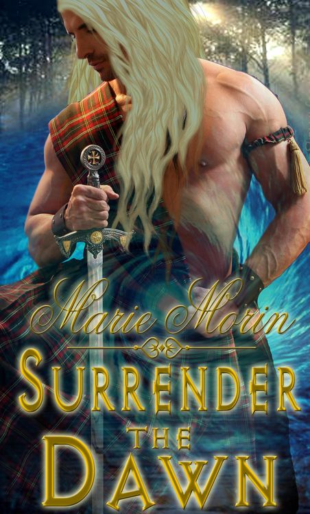 Produktbild: Surrender the Dawn