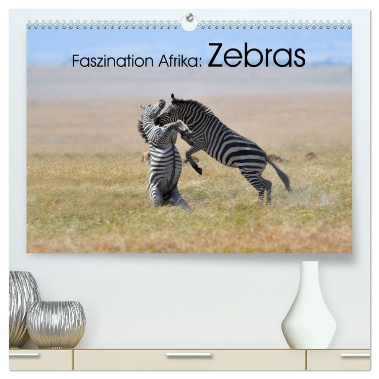 Produktbild: Faszination Afrika: Zebras (hochwertiger Premium Wandkalender 2026 DIN A2 quer), Kunstdruck in Hochglanz