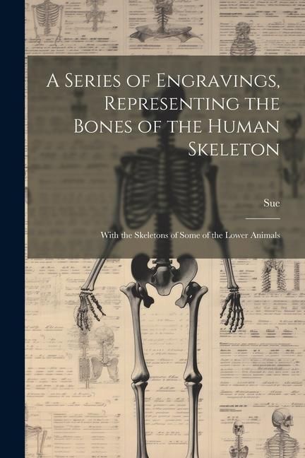 Produktbild: A Series of Engravings, Representing the Bones of the Human Skeleton