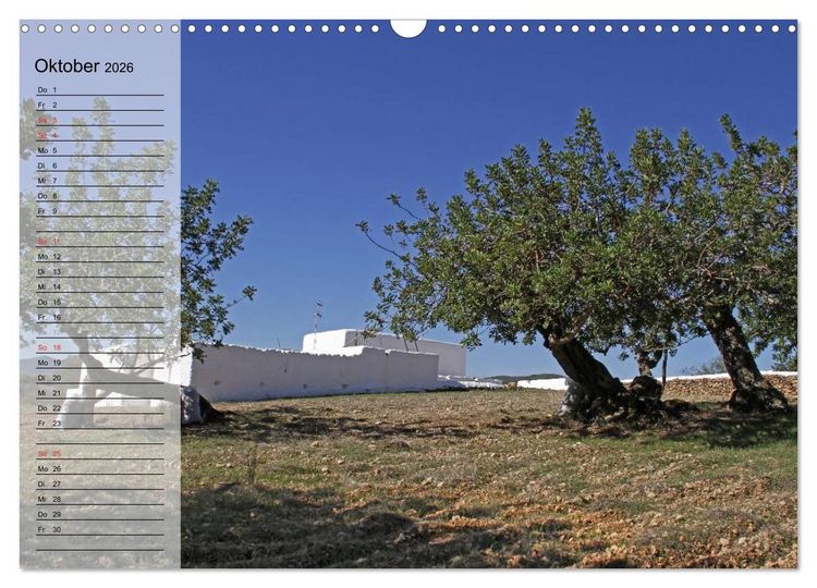 Produktbild: Zauberhaftes Ibiza - Terminplaner (Wandkalender 2026 DIN A3 quer), CALVENDO Monatskalender