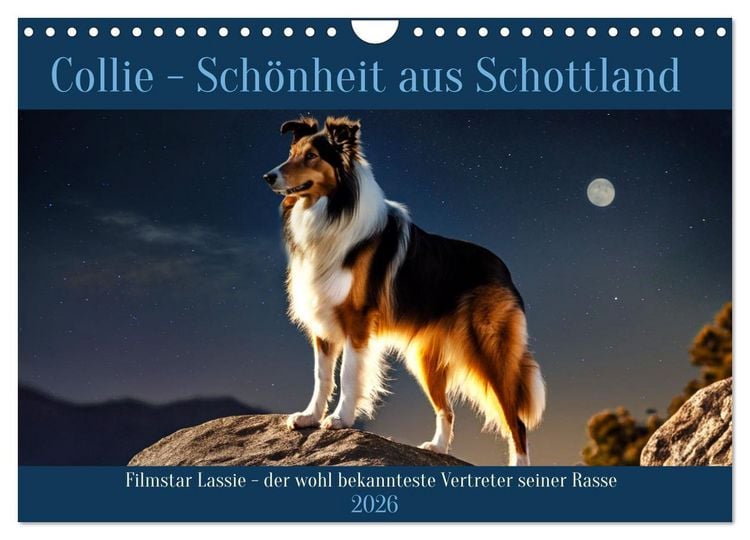 Produktbild: Traumhund Collie (Wandkalender 2026 DIN A4 quer), CALVENDO Monatskalender