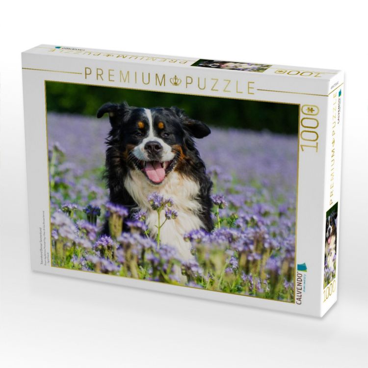 Produktbild: CALVENDO Puzzle Traumhund Berner Sennenhund | 1000 Teile Lege-Gr&ouml;&szlig;e 64x48cm Foto-Puzzle f&uuml;r gl&uuml;ckliche Stunden