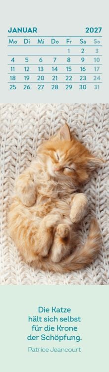 Produktbild: Lesezeichenkalender 2027: Katzenfreunde