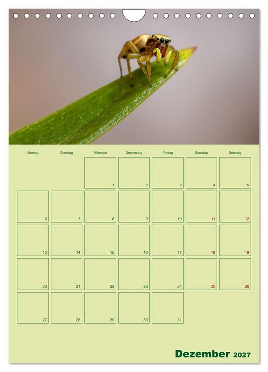 Produktbild: Die Welt der Insekten (Wandkalender 2027 DIN A4 hoch), CALVENDO Monatskalender