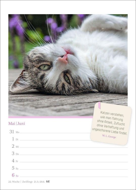 Produktbild: Katzengl&uuml;ck Wochenkalender 2027 - mit Zitaten