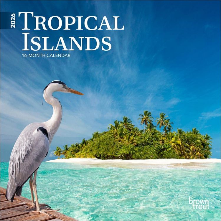 Produktbild: Tropical Islands 2026 7 X 14 Inch (Hanging) Monthly Mini Wall Calendar