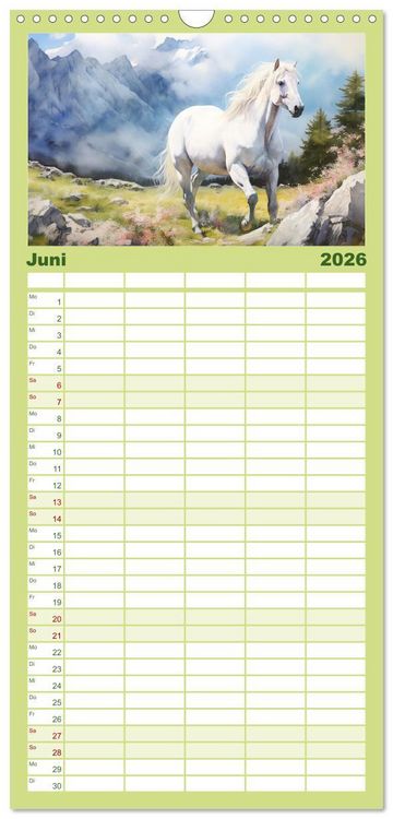 Produktbild: Familienplaner 2026 - Anmutige Schimmel. &Auml;sthetik Aquarell-Pferde mit 5 Spalten (Wandkalender, 21 x 45 cm) CALVENDO