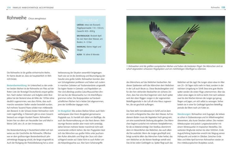Produktbild: Das BLV Handbuch V&ouml;gel