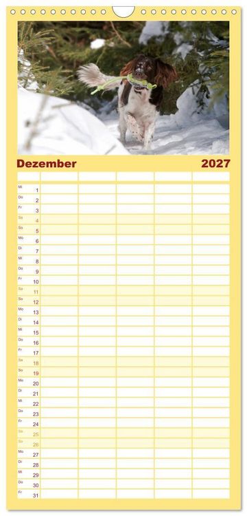 Produktbild: Familienplaner 2027 - Passion Jagdhund - Kleiner M&uuml;nsterl&auml;nder mit 5 Spalten (Wandkalender, 21 x 45 cm) CALVENDO