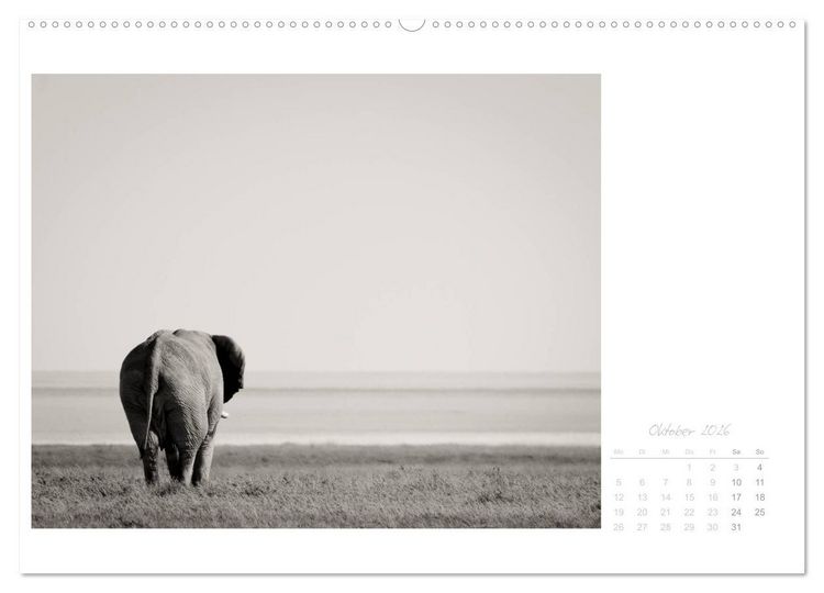 Produktbild: Elefanten in Etosha (hochwertiger Premium Wandkalender 2026 DIN A2 quer), Kunstdruck in Hochglanz