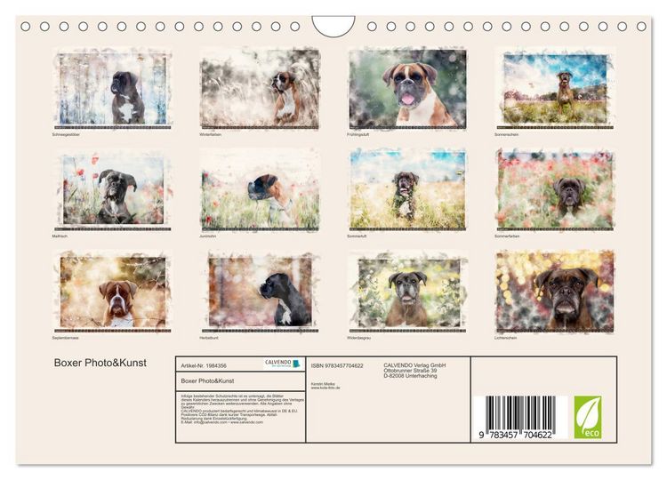 Produktbild: Boxer Photo&Kunst (Wandkalender 2026 DIN A4 quer), CALVENDO Monatskalender
