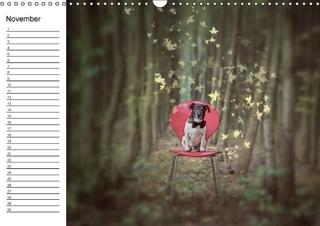 Produktbild: Jack Russell Terrier - Ein Verwandlungsk&uuml;nstler namens Jake / Geburtstagskalender (Wandkalender immerw&auml;hrend DIN A3 quer)