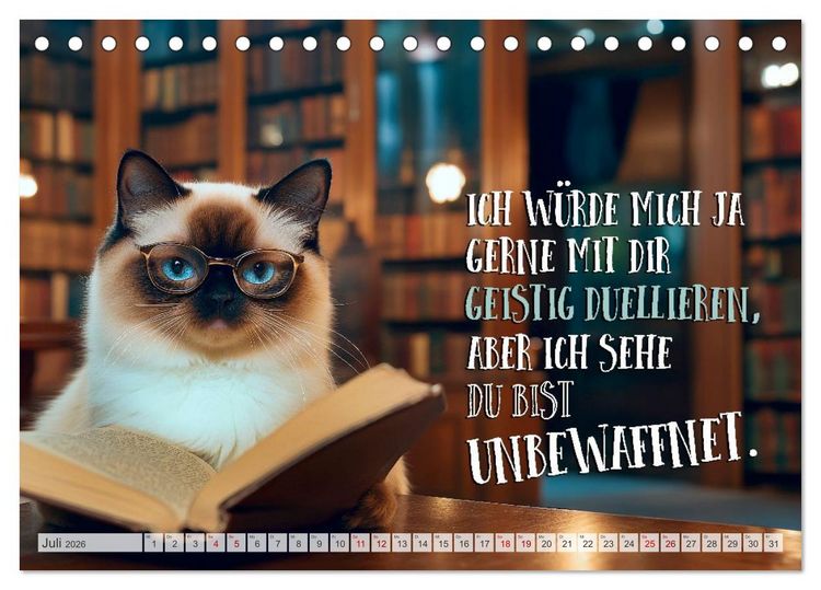 Produktbild: Katzenlogik - Wenn Blicke miauen k&ouml;nnten (Tischkalender 2026 DIN A5 quer), CALVENDO Monatskalender