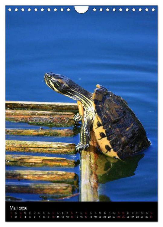 Produktbild: Wildlife 2026 (Wandkalender 2026 DIN A4 hoch), CALVENDO Monatskalender
