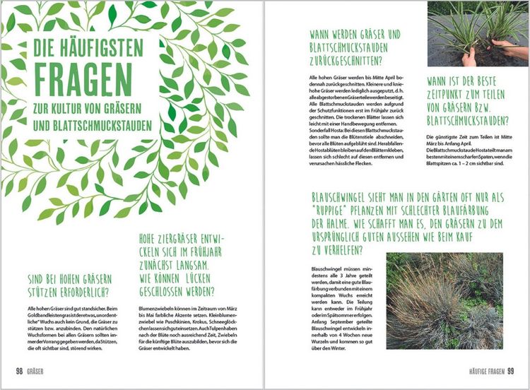 Produktbild: MDR Garten - Gr&auml;ser