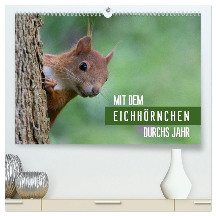 Produktbild: Mit dem Eichh&ouml;rnchen durchs Jahr (hochwertiger Premium Wandkalender 2026 DIN A2 quer), Kunstdruck in Hochglanz