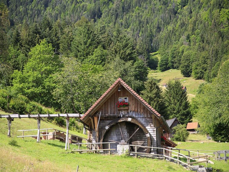Produktbild: Wanderparadies Schwarzwald