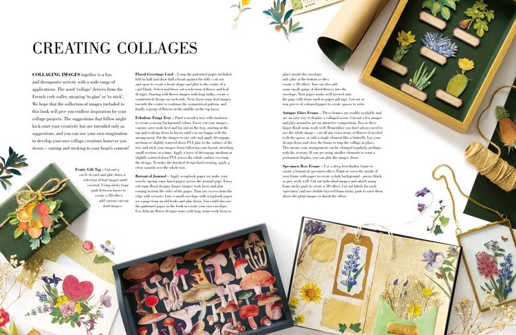 Produktbild: Botanical Art to Cut out and Collage