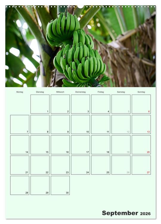 Produktbild: Obst Kalender - GESUND DURCH DAS JAHR (hochwertiger Premium Wandkalender 2026 DIN A2 hoch), Kunstdruck in Hochglanz