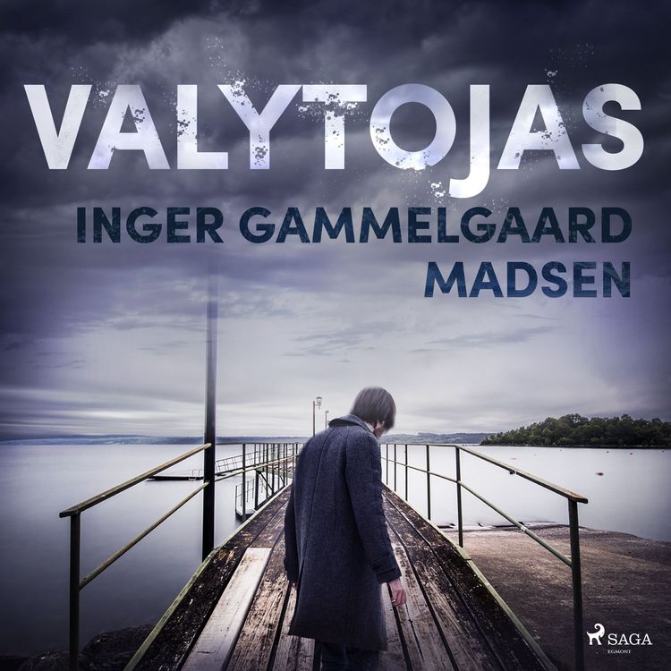 Produktbild: Valytojas
