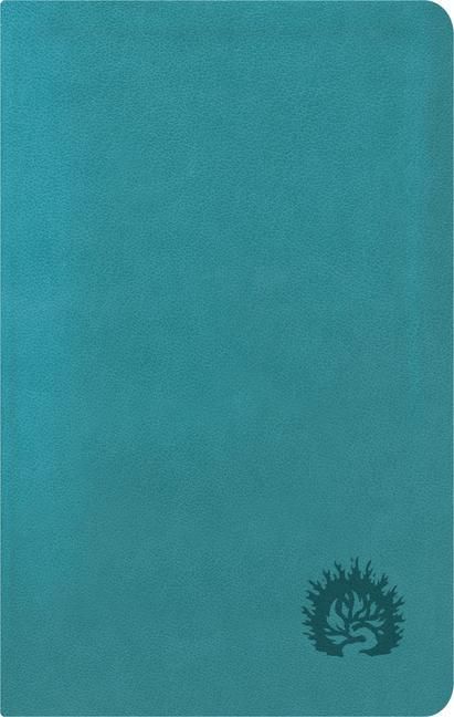 Produktbild: ESV Reformation Study Bible, Condensed Edition - Turquoise, Leather-Like