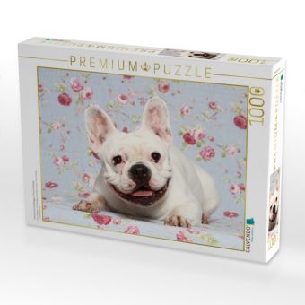 Produktbild: CALVENDO Puzzle Franz&ouml;sische Bulldogge / French Bulldog | 1000 Teile Lege-Gr&ouml;&szlig;e 64x48cm Foto-Puzzle f&uuml;r gl&uuml;ckliche Stunden