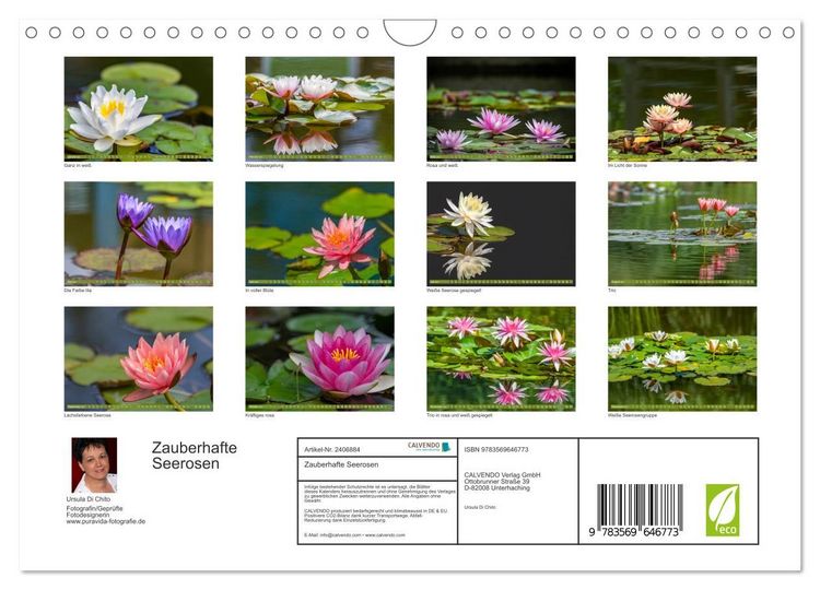 Produktbild: Zauberhafte Seerosen (Wandkalender 2027 DIN A4 quer), CALVENDO Monatskalender