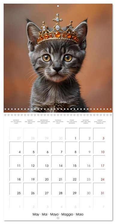 Produktbild: Kitten kings - Cute kings of hearts (Wall Calendar 2026 12 &times; 12 Inch) CALVENDO 12 Month Wall Calendar
