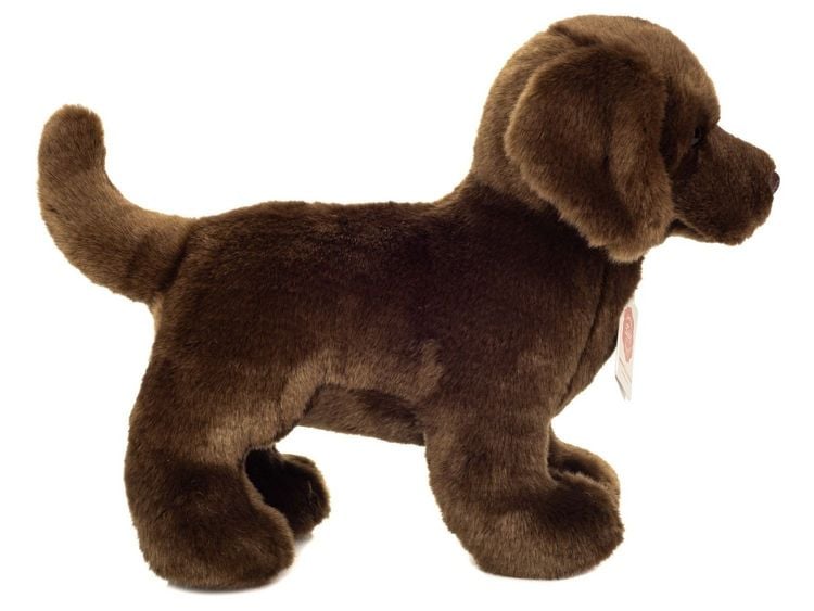 Produktbild: Teddy Hermann 91997 - Labrador braun stehend, Pl&uuml;sch, 30 cm