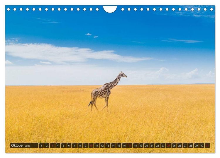 Produktbild: Ostafrika (Wandkalender 2027 DIN A4 quer), CALVENDO Monatskalender